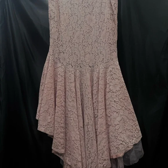 Ina Blush Lace Dress - Picture 2 of 5